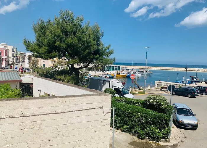 Eva Casavacanza Savelletri